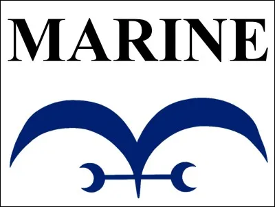 Qui rêve d'être amiral de la Marine parmi eux ?