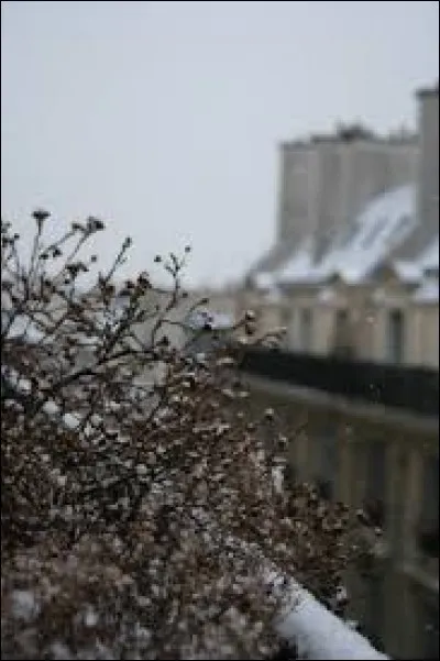 Il est particulièrement résistant...