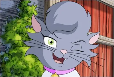 Quelle est cette chatte et est-elle gentille avec les autres ?