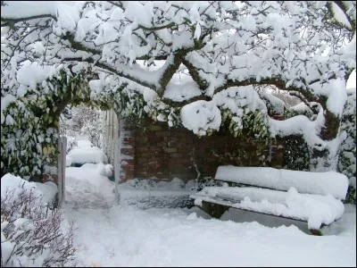 Tu te réveilles, et vois par ta fenêtre que le jardin est couvert de neige, que fais-tu ?