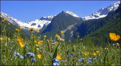 Coiffeur, ou éventuellement avoir des yeux de ...frit !