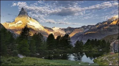 Fée celtique, sirène, ou feutre à longs poils !