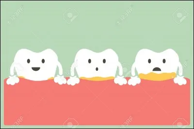 Quel terme désigne la fine et collante pellicule de bactéries qui se forme sur les dents ?
