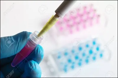 Comment appelle-t-on l'étude des caractéristiques transmises par les parents à leur progéniture ?