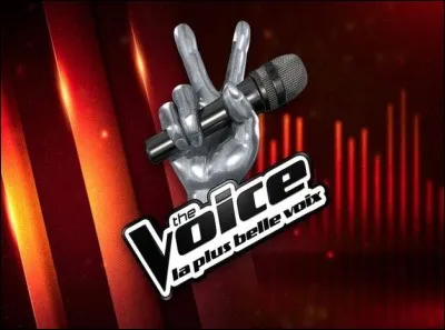 C'est le chanteur qui a remporté la sixième saison de "The Voice : La plus belle voix", en juin dernier ; il s'agit de...