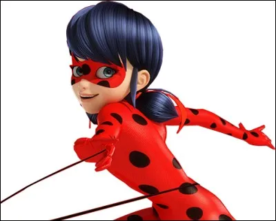 Quel est l'accessoire magique de Ladybug, qui lui permet de se déplacer rapidement, et de délivrer les papillons ténébreux du mal ?