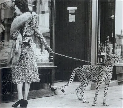 Qu'est-ce qui constitue un "double chagrin" ?