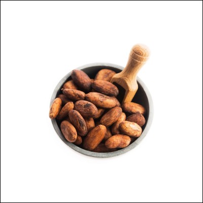 De quand daterait la première utilisation de la fève de cacao ?