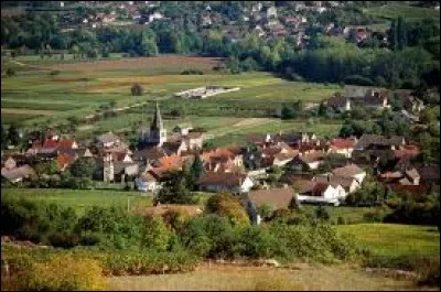 Village viticole de Bourgogne-Franche-Comté, Saint-Martin-de-Montaigu se situe dans le département ...