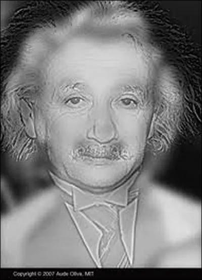 Vous voyez Einstein d'abord, mais qui se cache dans cette image ?