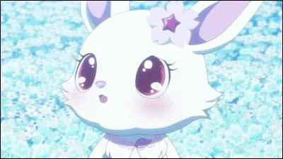 Qui est ce Jewelpet ?