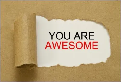 Qui apprécie Snake ?