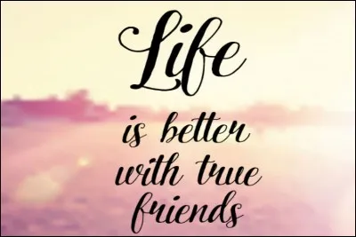 Qui est le meilleur ami de Katarina ?