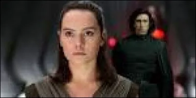 À quelle famille Kylo Ren et Rey appartiennent-ils ?