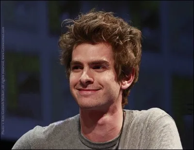 Complétez le titre de ce film "The Amazing Spider-Man : ...".