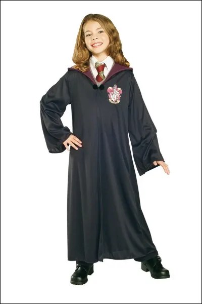 Avec qui Hermione s'est-elle mariée ?