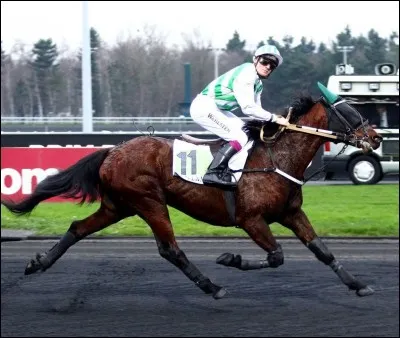 Quel est ce nom de course ?