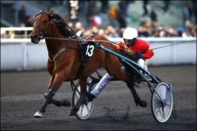 Comment se nomme cette façon de courir ?