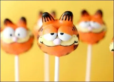 Retrouvez le nom de ce chat !