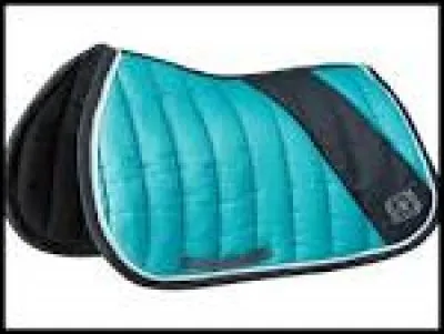 Quelle est la marque de ce tapis ?