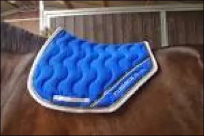 Quelle est la "discipline" de ce tapis ?