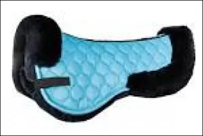 Qu'est-ce que c'est ?