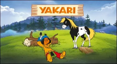 Quel est le don de Yakari ?