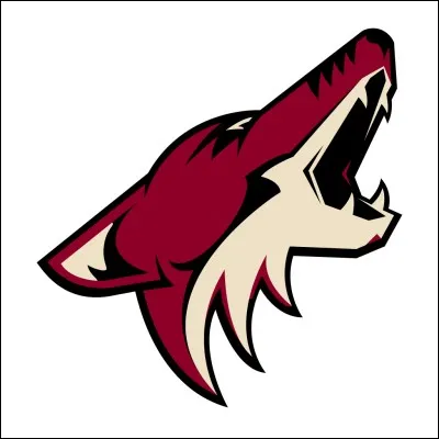 Qui a eu l'idée de créer l'équipe (Arizona Coyotes) ?