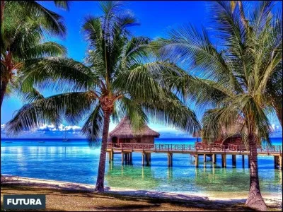 Quelle est ta destination de vacances pr&eacute;f&eacute;r&eacute;e ?