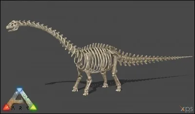 Que signifie son nom ?