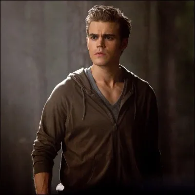 L'auto de Stefan est de quelle couleur ?