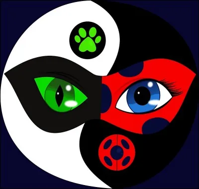 Qui est Chat Noir ?