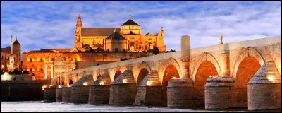 Cordoue est une ville d'Andalousie, située en :