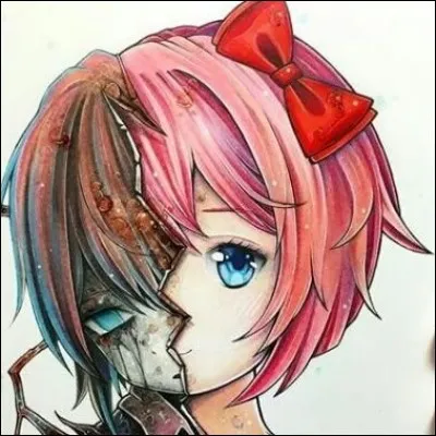 Quel était son personnage préféré dans "Doki Doki Literature Club!" ?