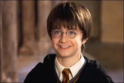 Quel est l'endroit préféré d'Harry, et pourquoi aime-t-il y être ?