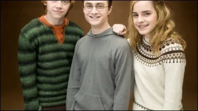 Avec qui se marient Harry et Hermione ?