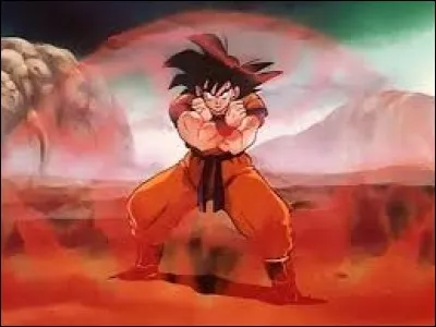 Quelle est la technique que tu préfères dans "Dragon Ball" ?