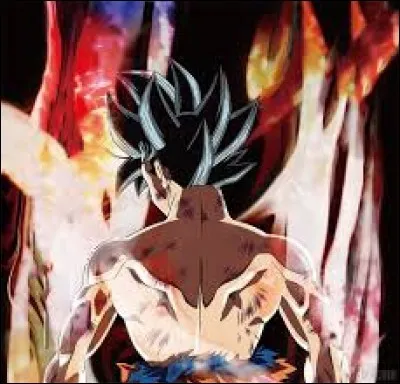 Quelle est la couleur de transformation que tu préfères ?