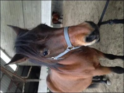 Cochez la liste d'aides naturelles