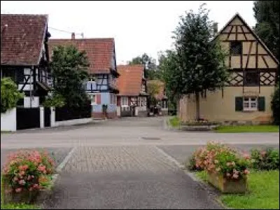 Petit tour dans le Grand-Est, à Kauffenheim. Nous sommes dans le département ...