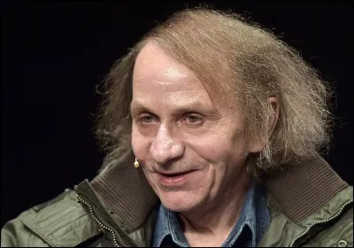 Je suis une uvre écrite par Michel Houellebecq. Qui ment ?
