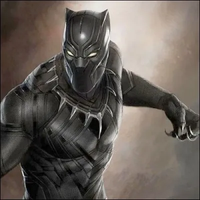 Black Panther : Le héros est l'héritier du trône ...