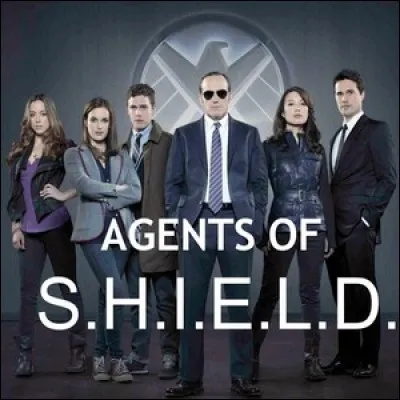 Dans la série Agents of Shield", Qui dirige l'équipe ?