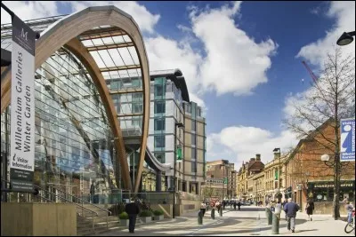 Lequel de ces pays a une ville du nom de Sheffield ?