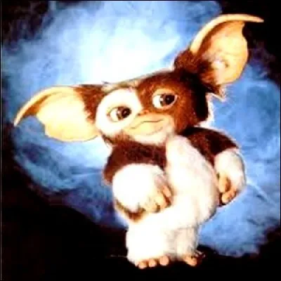 [Gremlins] Comment se reproduisent-ils ?
