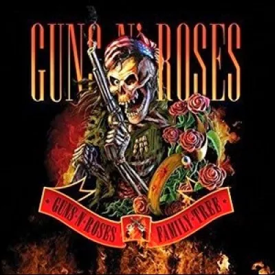 Qui est le célèbre guitariste des "Guns n' Roses" ?