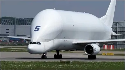 L'Airbus A300-600ST est surnommé le "béluga".