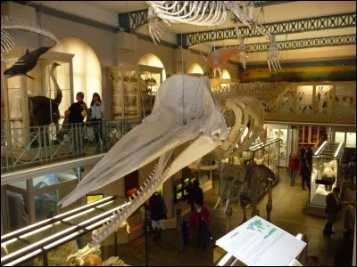 Quel est cet endroit ?