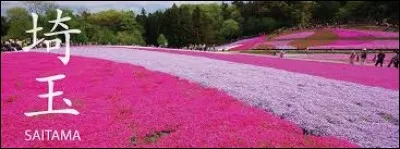 Comment se nomme la pr&eacute;fecture qui porte le m&ecirc;me nom qu'un personnage d'anim&eacute; ?