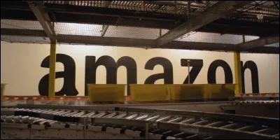 Quel chiffre d'affaires en milliards de dollars a annoncé Amazon entre 2005 et 2010 ?